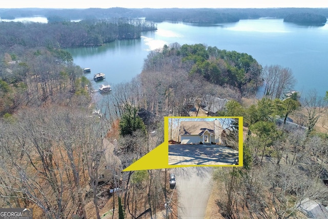 aerial view with a water view and a view of trees