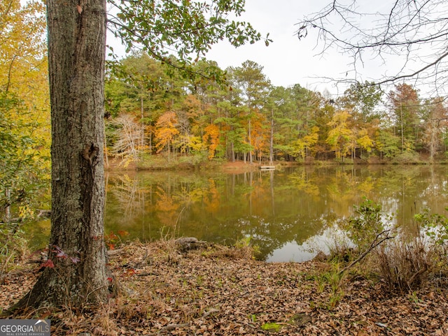 property view of water with a forest view