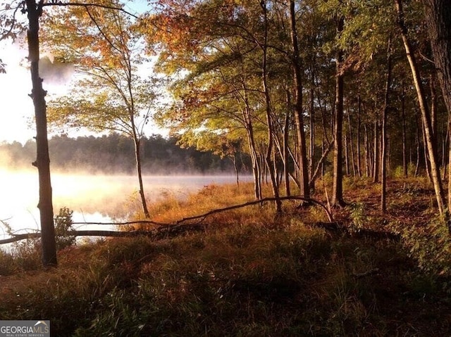 view of landscape with a water view