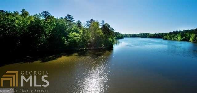 water view with a wooded view