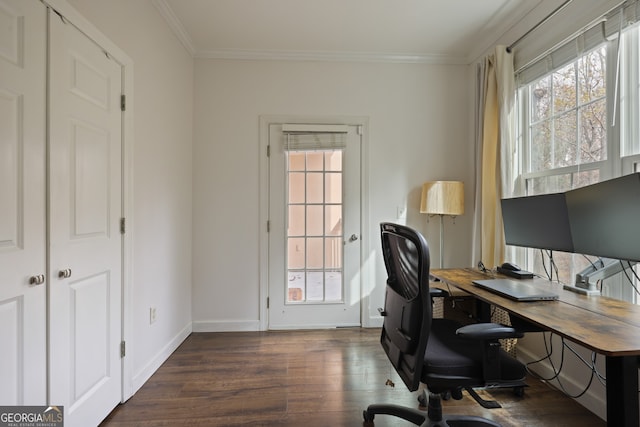 office with ornamental molding, dark wood-style flooring, and a wealth of natural light