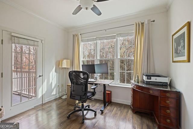 office space featuring a healthy amount of sunlight, wood-type flooring, and ornamental molding