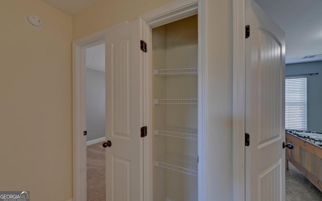 closet featuring visible vents