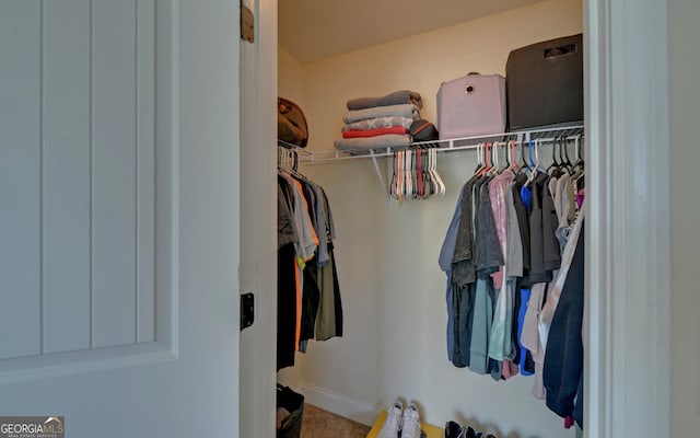 view of walk in closet