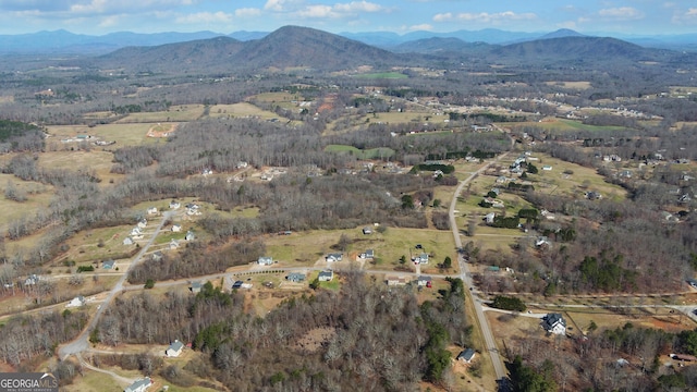 birds eye view of property featuring a mountain view