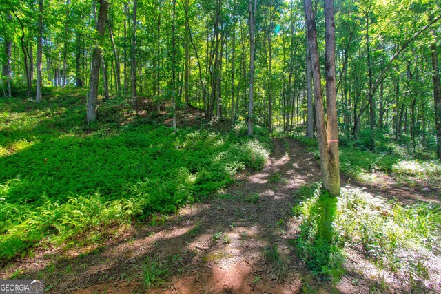 600 Grand Oak Ln, Dahlonega, GA 30533