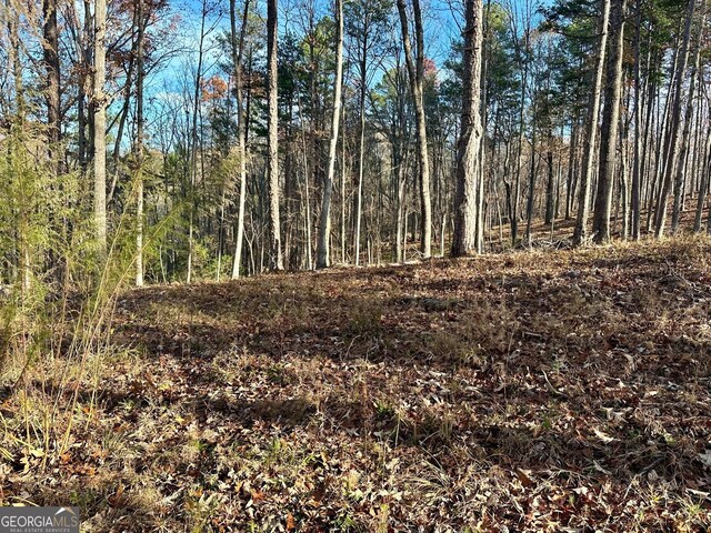 600 Grand Oak Ln, Dahlonega, GA 30533