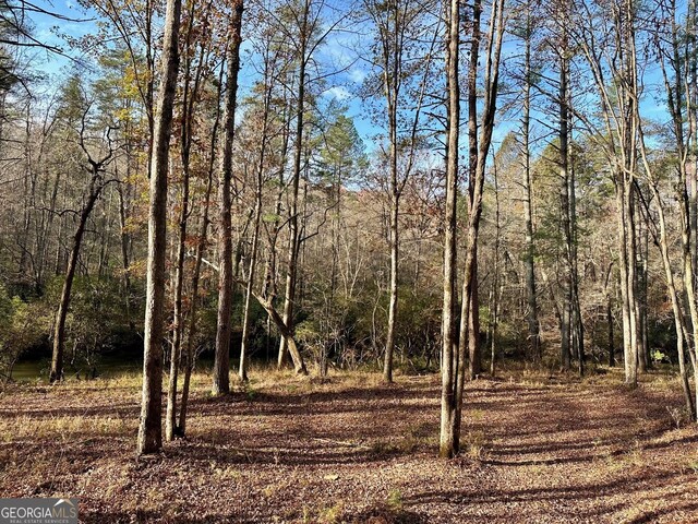 600 Grand Oak Ln, Dahlonega, GA 30533