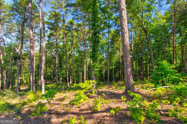 600 Grand Oak Ln, Dahlonega, GA 30533