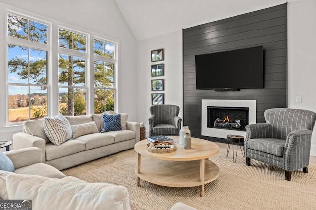 living room featuring a large fireplace and vaulted ceiling