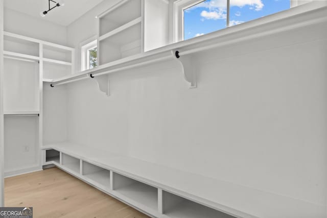 spacious closet featuring light wood-style floors