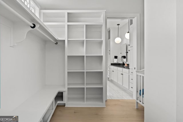 walk in closet with light wood-style flooring