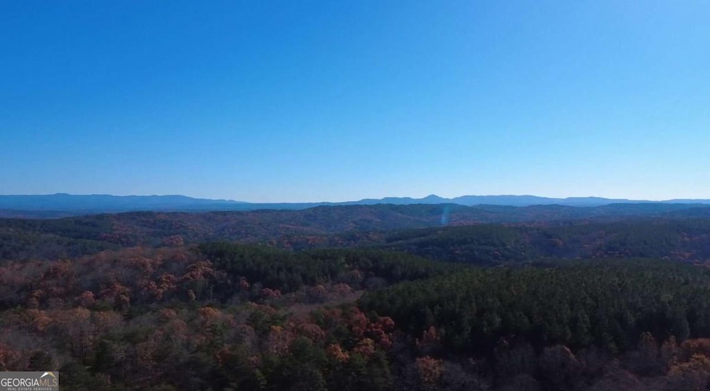 1365 Hunter Dr, Ranger, GA 30734 - mountain view featuring a forest