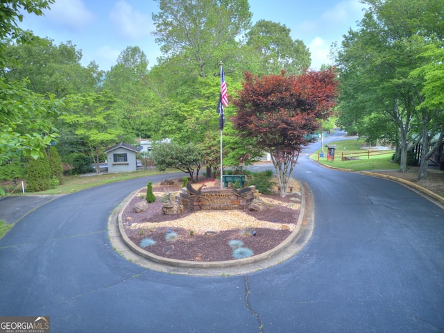 view of street with curbs