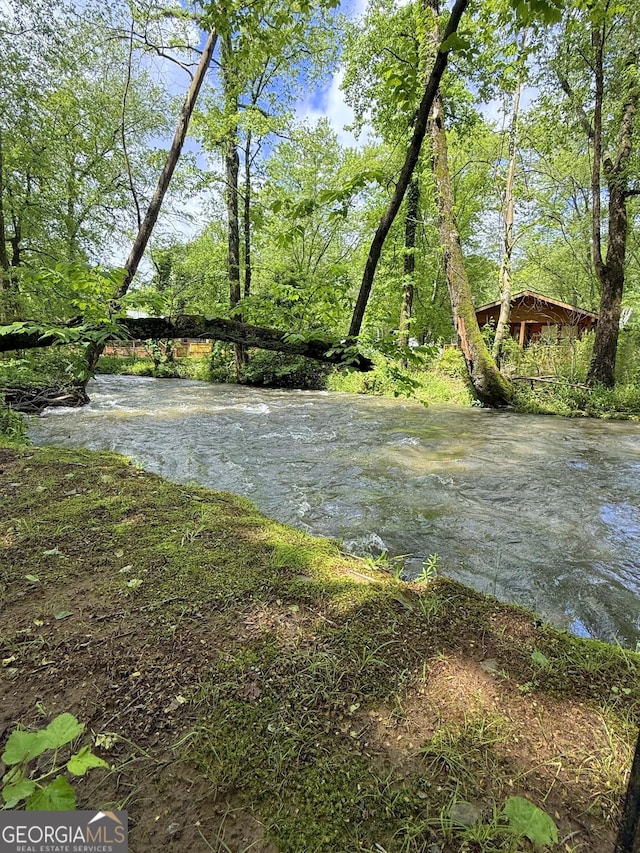 527 Hidden Valley Rd Unit 189, Cleveland, GA 30528 - view of yard