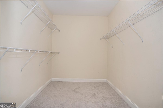 spacious closet with light carpet