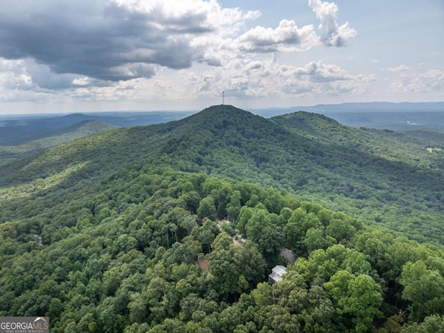 property view of mountains featuring a forest view