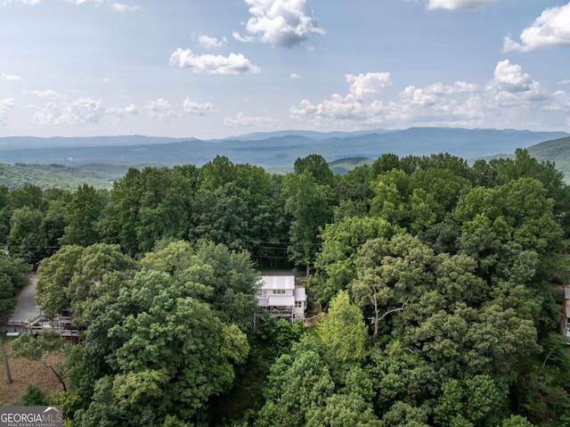 view of mountain feature with a wooded view