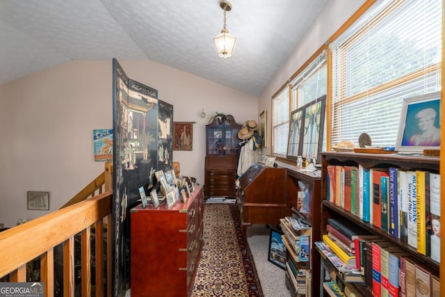 interior space with carpet floors, lofted ceiling, and a textured ceiling