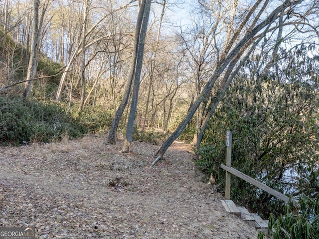 view of local wilderness