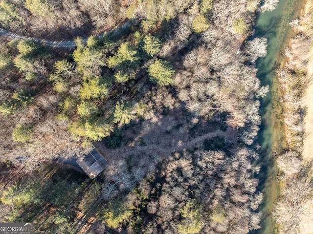 bird's eye view with a view of trees