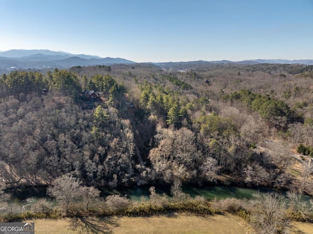 view of mountain feature with a view of trees