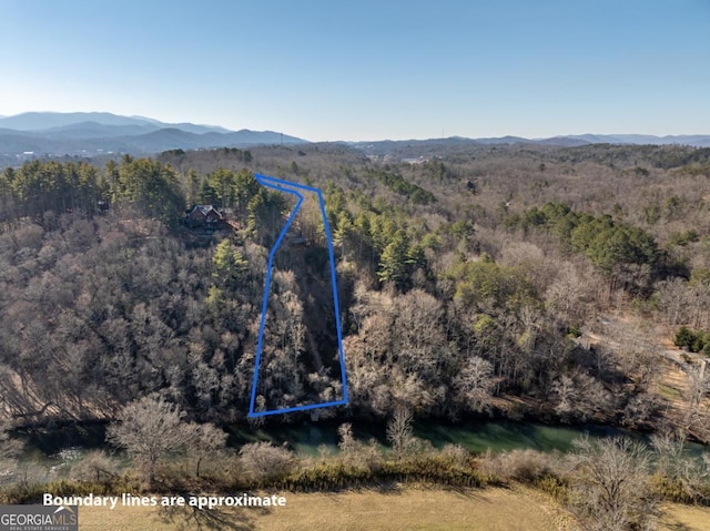 drone / aerial view featuring a mountain view