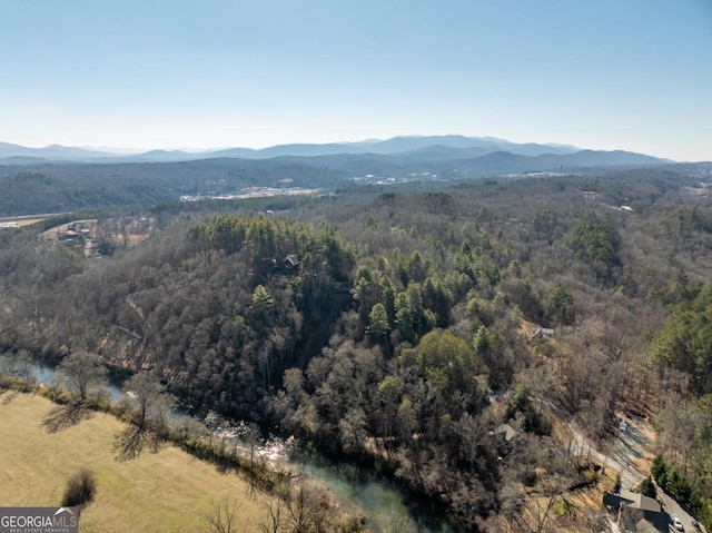 birds eye view of property featuring a mountain view and a forest view