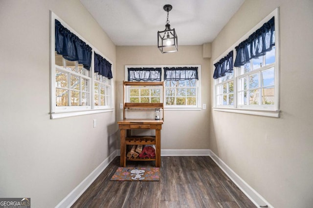 dining room featuring baseboards and dark wood-type flooring