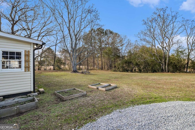 view of yard featuring a vegetable garden