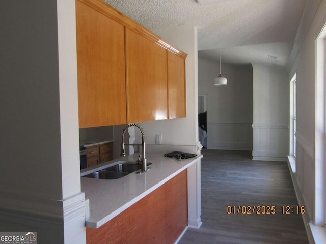 kitchen with a textured ceiling, a wainscoted wall, dark wood-type flooring, a sink, and light countertops