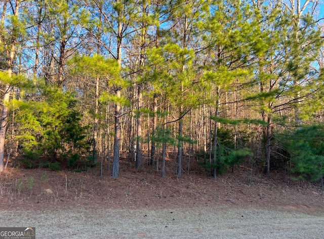 117 Gardens Dr, Forsyth GA, 31029 land for sale