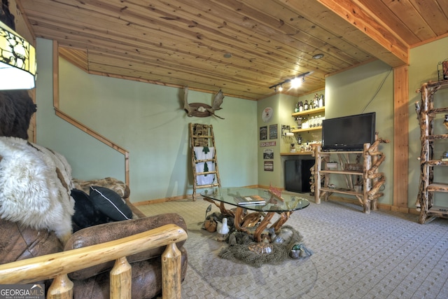 381 Morley Ct, Ellijay, GA 30540 - carpeted living area with wooden ceiling and baseboards