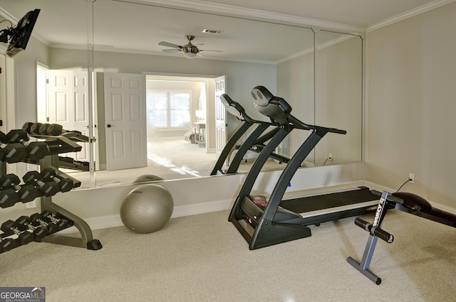 exercise area featuring visible vents, crown molding, baseboards, carpet flooring, and a ceiling fan