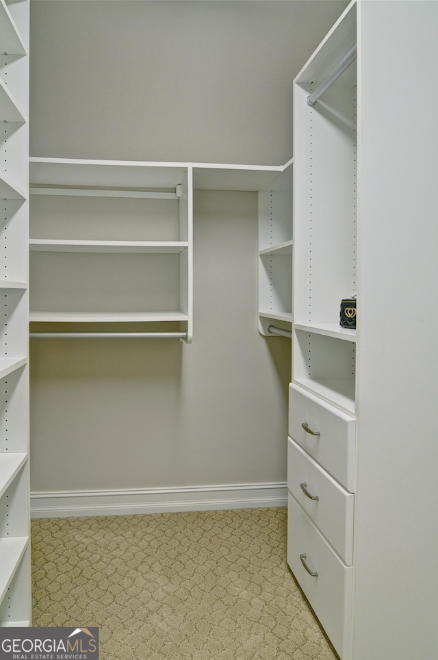 view of spacious closet