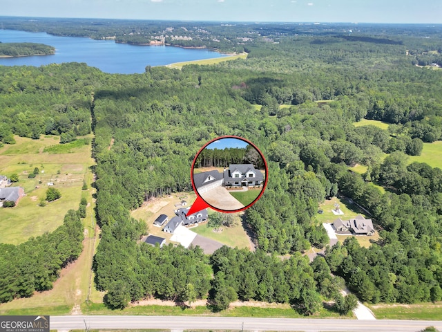 bird's eye view featuring a forest view and a water view