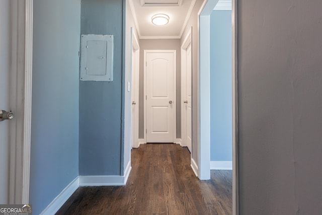 corridor with crown molding, dark wood-style flooring, electric panel, and baseboards