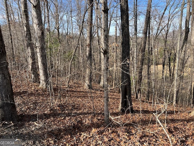 LOT77A Licklog Rdg, Hayesville NC, 28904 land for sale