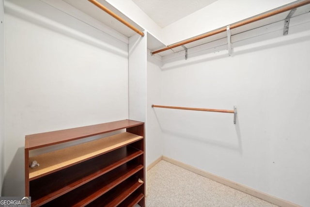 spacious closet with carpet floors