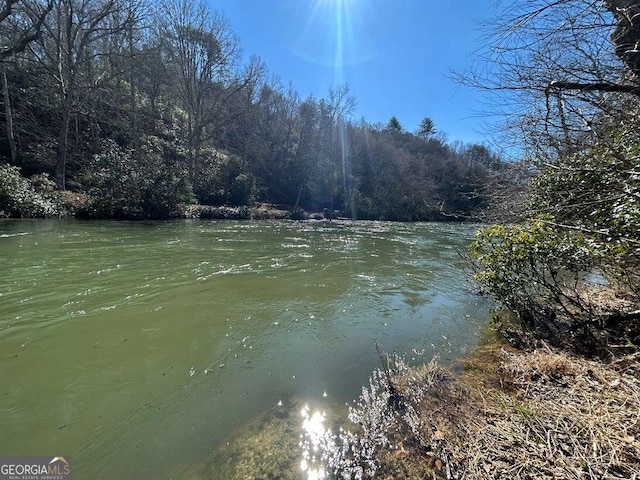 property view of water featuring a forest view