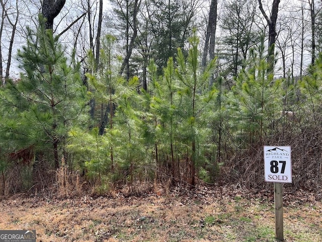 LOT87 High Point Trl, Blairsville GA, 30512 land for sale