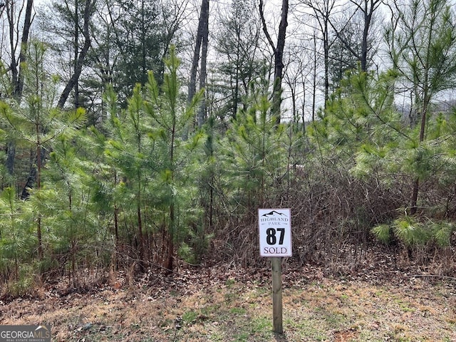 Listing photo 3 for LOT87 High Point Trl, Blairsville GA 30512