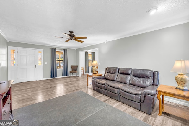 living area with baseboards, ceiling fan, wood finished floors, crown molding, and a textured ceiling