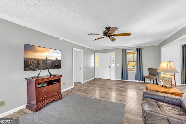 living area featuring crown molding, a textured ceiling, baseboards, and wood finished floors