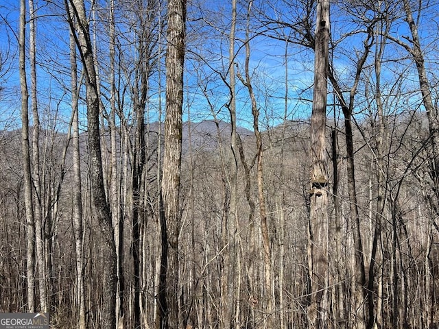 LOT15 Bear Trl, Roaring Ridge Trail, Hiawassee GA, 30546 land for sale