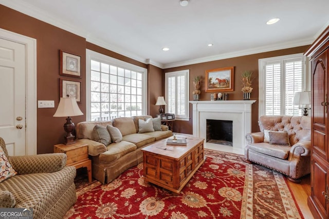 living area featuring a healthy amount of sunlight, crown molding, and light wood finished floors