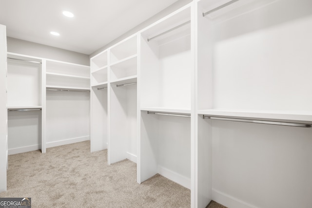 walk in closet featuring carpet flooring