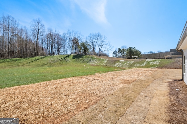 view of yard featuring a rural view