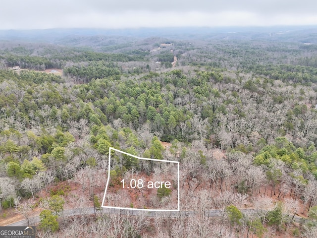 0 Red Tail Ln, Morganton GA, 30560 land for sale