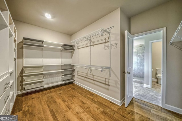 walk in closet featuring wood finished floors